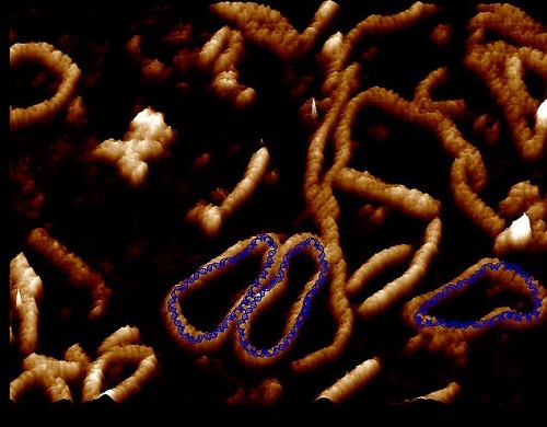 واضح‌ترین تصاویر ثبت شده از مولکول دی‌ان‌ای