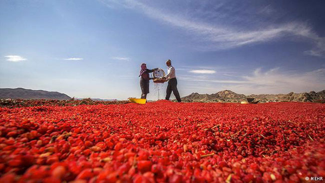 اینجا ایران است (64)