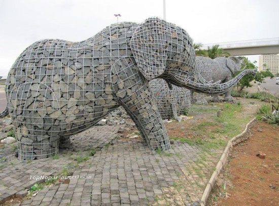 فیل های سنگی در آفریقا +عکس