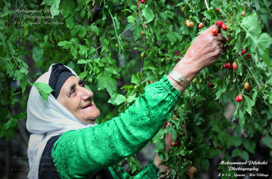 اینجا ایران است (102)