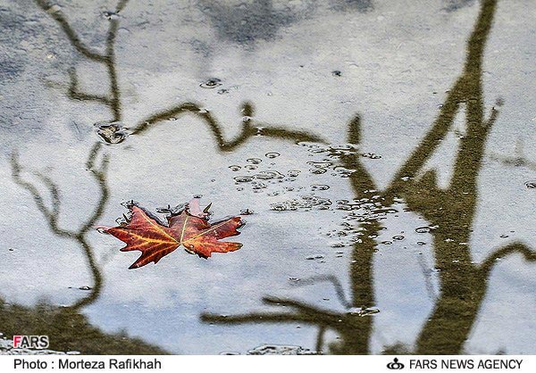 تصاویر: طبیعت پاییزی گیلان