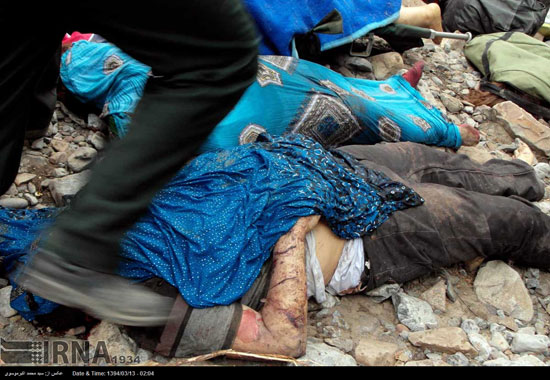 عکس: سقوط مرگبار اسکانیا در سیاه بیشه