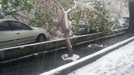 دردسر‌های یک روز برفی در تهران
