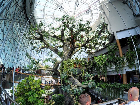 بزرگترین درخت مصنوعی جهان در دل جنگلی بارانی در دبی