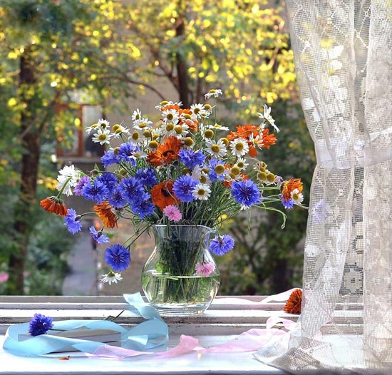 تصاویری از گل و گلدان‌های فوق‌العاده زیبا