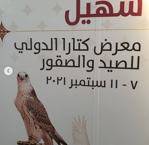 نمایشگاه شاهین و شکار در دوحه قطر