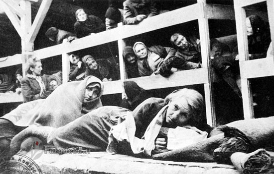 گزارش تکان دهنده از اردوگاه «آشویتس»