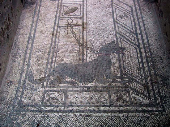 استفاده از قلاده سگ برای حفاظت از آن در زمان باستان