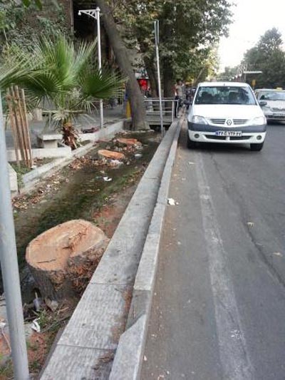 عکس: قتل درختان در خیابان ولی عصر تهران