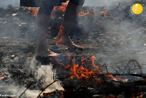 راه رفتن عبادت‌کنندگان ژاپنی روی ذغال داغ