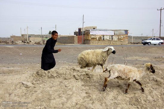 عکس: هم‌ خانه با فقر