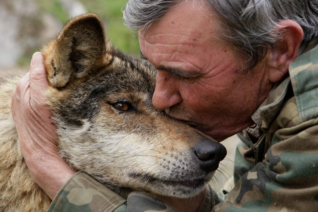 روایت باورنکردنی از زندگی مردی که توسط گرگ‌ها بزرگ شد