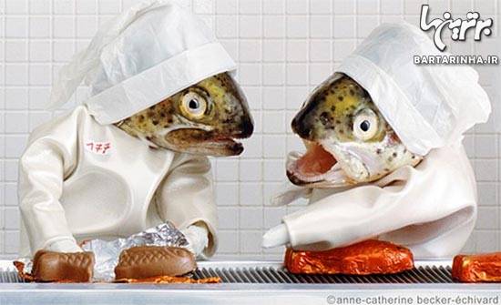 خلاقیت جالب با کله ماهی! +عکس
