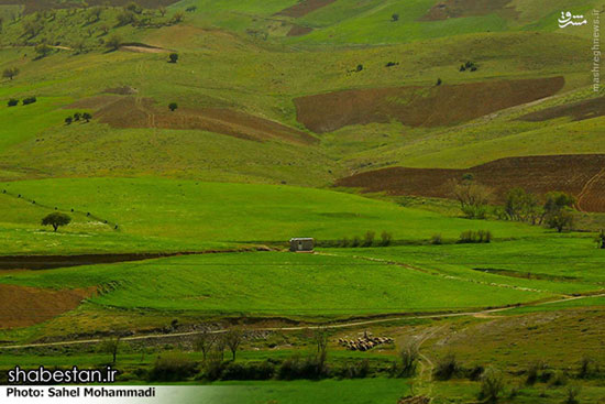 طبیعت محشر کردستان