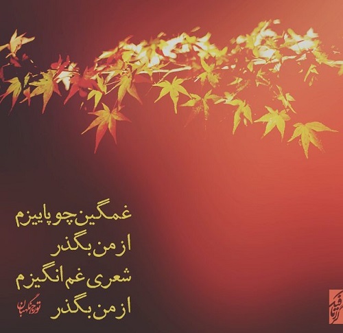 مینی شعر (176)