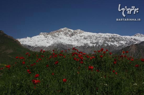 کشورهای ارزان برای سفرهای خارجی