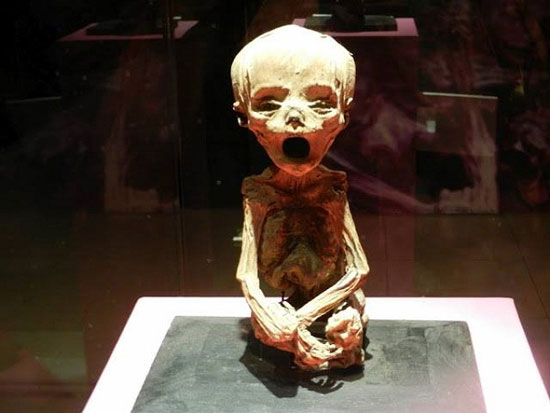جسدهای وحشتناک در یک موزه عجیب!