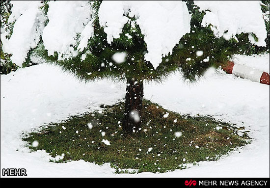 تصاویری از بارش برف پاییزی در اهر