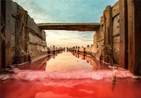 تصاویر خیره کننده از نمک‌های قرمز