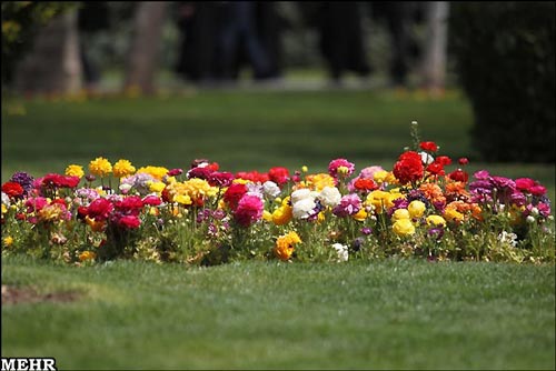گزارش تصویری از باغ گلها در اصفهان