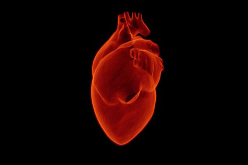 ژن‌هایی که به حمله قلبی منجر می‌شوند