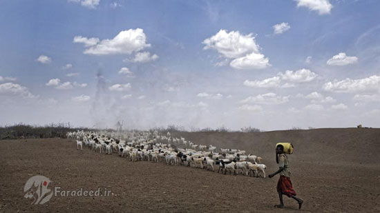خشکسالی وحشتناک در کنیا