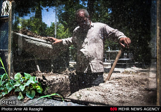 میزبان فردای ما