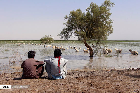 حالِ خوبِ «هامون»