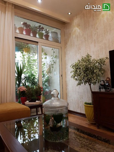 دکوراسیون پاسیو با گیاهان آپارتمانی، رازهای سبز خانه‌ای در قم