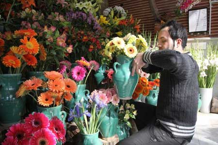 قیمت گل در ایران ۶ برابر هلند!