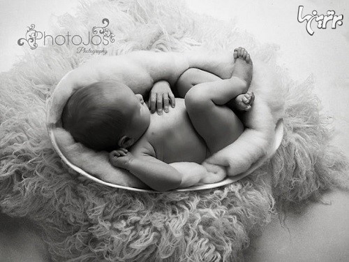 تصاویر زیبا از  نوزادان در قالب شکم مادرشان