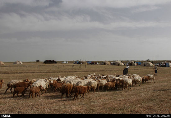 عکس: جشنواره کوچ عشایر در اردبیل