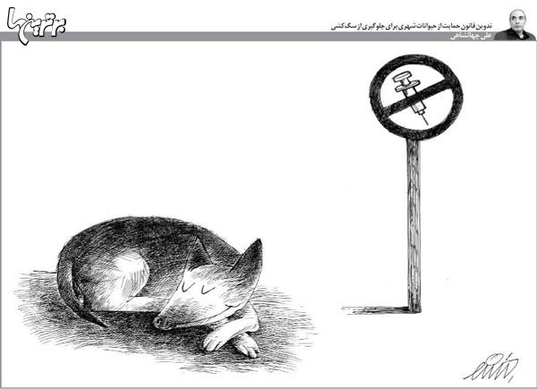کارتون: قانون حمایت از حیوانات شهری!