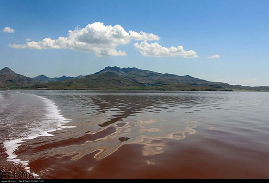 بازگشت حیات به دریاچه ارومیه‎