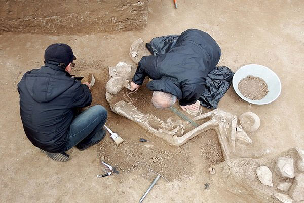 کشف گور یک جنگاور ۳ هزار ساله در گیلان