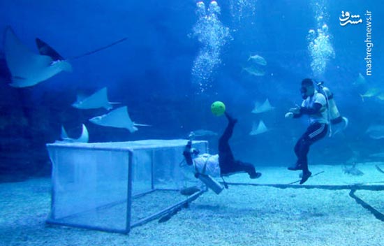 شور فوتبالی غواصان در زیر آب