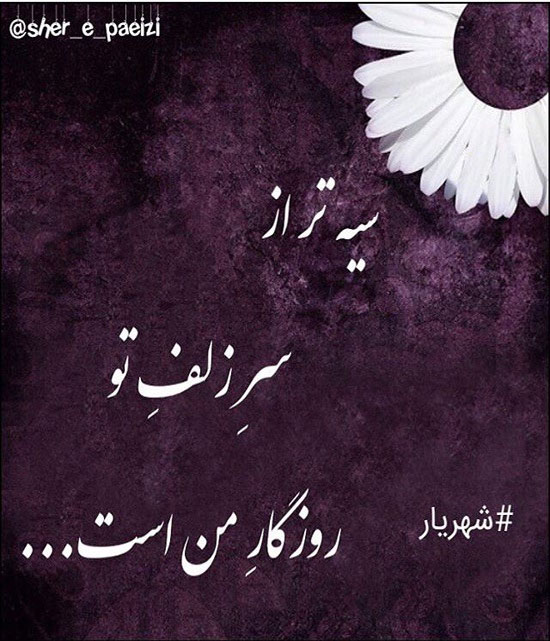 مینی شعر (326)