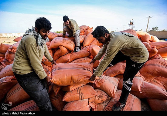 امدادرسانی به دامداران گرفتار شده در سیلاب