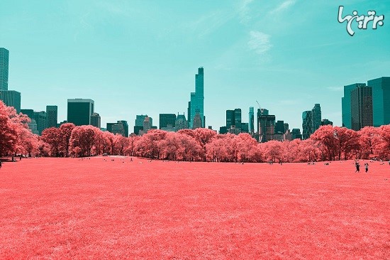 پارک مرکزی نیویورک در مادون قرمز!