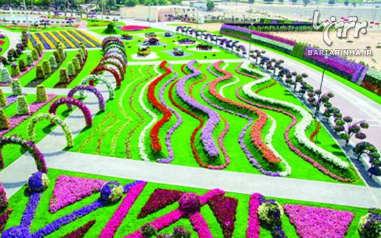 بزرگترین باغ گل جهان در دبی +عکس