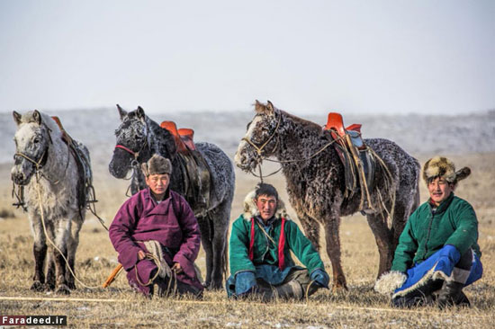 کابوی های مغولی +عکس