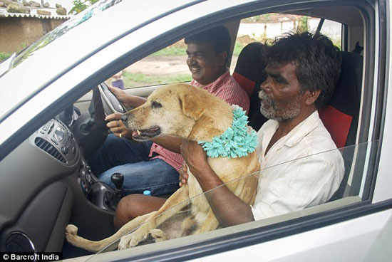 ازدواج دختر هندی با یک سگ! +عکس