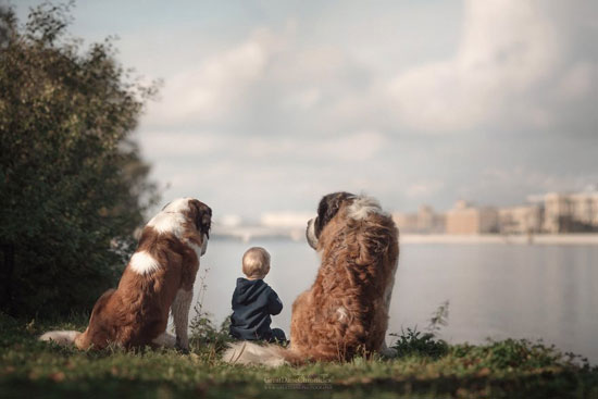 پروژه عکاسی؛ کودکان کوچک و سگ های بزرگشان