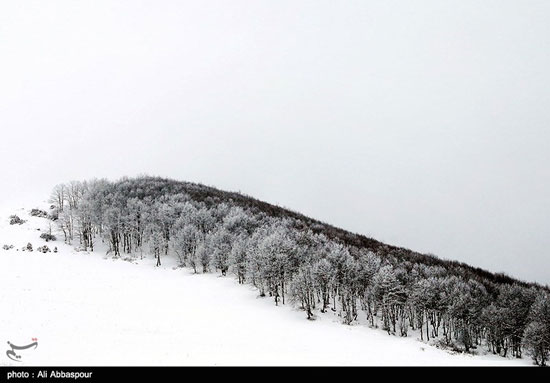 عکس: زیبایی طبیعت زمستانی کلیبر