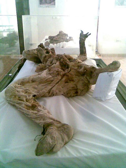 مومیایی نمکی در موزه ایران باستان +عکس