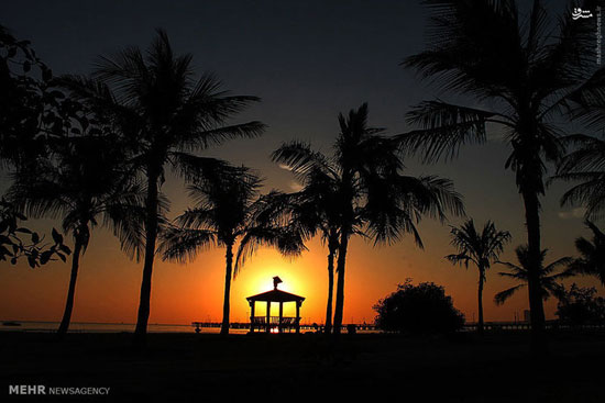 عکس: طلوع خورشید در جزیره کیش