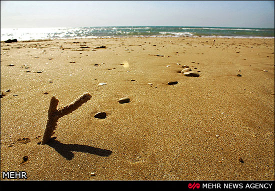 زیبایی خاص سواحل کنگان بوشهر +عکس