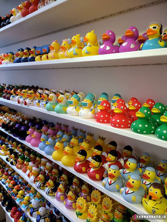 فروشگاه تخصصی برای اردک ها!