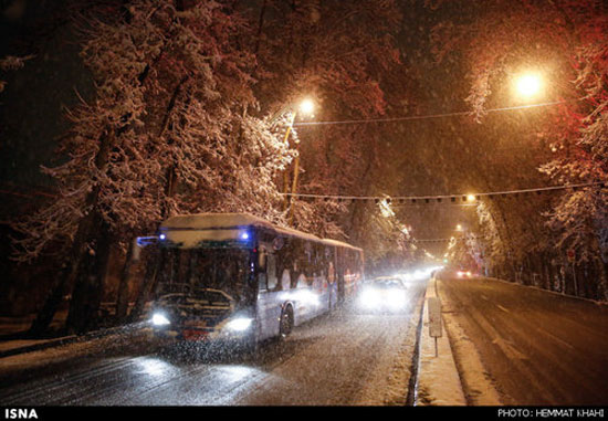 عکس: بارش برف در تهران