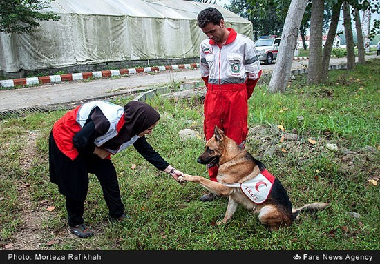 عکس: دوره آموزشی سگ های زنده یاب